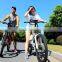 Direct Factory haoling orginal design Seagull electric bicycle with kit