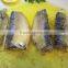 canned sardine from morocco(WW-155)