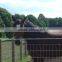 Anti-corrosion and heavy duty hinge joint fence