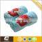 Animal Cartoon Embroidered Super Soft Solid Coral Fleece Baby Blanket