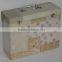 Tin Box with one handle and two lock tool Storage tin box packing tin box