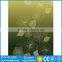 China Supplier Tempered Silkscreen Printing Glass