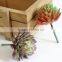 New Design Plastic Mini Succulent Plants Artificial Succulent Plastic For Decoration