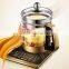 SKG Electric Glass Kettle Health Pot