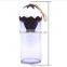 Ice cream shape lemon/orange/fruit infuser sports bottle