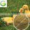 Aminal Use Amino peptide (Feed-grade)