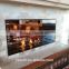 bioethanol fireplace heater with remote control