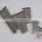 Iron Material Common Nail Type for building Wood Wire Nails from Guangzhou Erxing