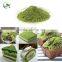 2016 Best Selling Products Detox Matcha Tea Hot Selling In Japanese