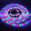 Popular Sell-Outs Flex LED Strips Light Led Strip 5M 300leds RGB 3528 LED Strip Lights Waterproof Ip65 With 44key Remote Control