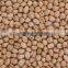 Buy 12mm Chickpeas