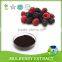 100% natural pigment Mulberry Fruit Extract/ Mulberry Extract powder bulk