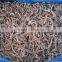 IQF Frozen Black Fungus Ear Mushroom