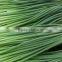 Fresh Garlic Leek