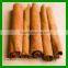 popular split cassia cinnamon with top quality