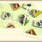 Wholesaler of Africa Market Wax Match Boxes at Low cost