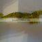 shrimp soft fishing lure with salt,freshwater soft lure SH001