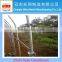 China decorative customizable greenhouse