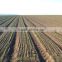 12 Rows Precision Soybean Planter for Mozambique market
