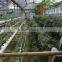 Agricultural Hydroponic NFT Planting Growing System