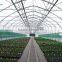 Plastic Film Tunnel Garden Greenhouse For Sale