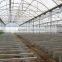 Factory Price Multi-span plastic greenhouse