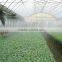 greenhouse irrigation system design