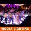 Wedding Led Starlit Dancefloor LED Light Source and CE,RoHS Certification