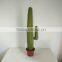 SJ3001009 High imitation cactus plant/indoor decoration cactus plant