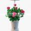 30 Led Grow Light Indoor Growing with Hydroponics