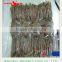 Hot sales frozen Salted Anchovy fish