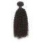 Tangle Free Brazilian Tangle Free Russian? 20 12 -20 Inch Inches Curly Human Hair Wigs