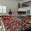 Full Automatic Flat Glass Laminating Line with air tank autoclave system