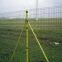 Highly Durable Holland Welded Wire Mesh pictures & photos