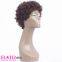 Wholesaler of Dark Brown Short Curly Human Hair Wig