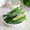 100% NATUARL VACCUUM FRIED OKRA CHIP ORGANIC FROM VIET NAM