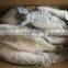 sea bass fish frozen seabass fish barramundi fish