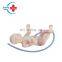 HC-S329 Advanced realistic  medical training models baby care model,neonatal umbilical cord care model