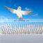 New Arrival Garden Outside Repelling Best Control Pigeon Stainless Steel Anti Bird Spike