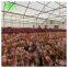Wholesale Polyethylene Greenhouse Covering Film With High Quality