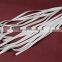 High Elastic White Synthetic Rubber Belt Used Swimwear