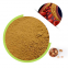 Factory Supply Food Grade Natural Hawthorn Extract Powder