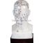The head four functions acupuncture points model 20cm