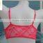 Top Quality Sale Transparency Teen Bra Top