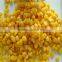 canned sweet kernel corn with good quality