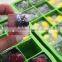 Hot Sale Food Grade FDA and LFGB Colorful Square Shape Silicone Ice Cube Tray Quality Choice