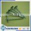 Bwg9 X2" Roofing Nails With Plastic Washer Supplier's Choice