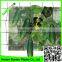 high quality plant support net /circular plant support /cucumber net with cheap price