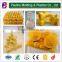 rapid prototype manufacturing in maching service