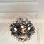 Stainless Steel Glass Globe Pendant Light / Transparent Gold Lighting